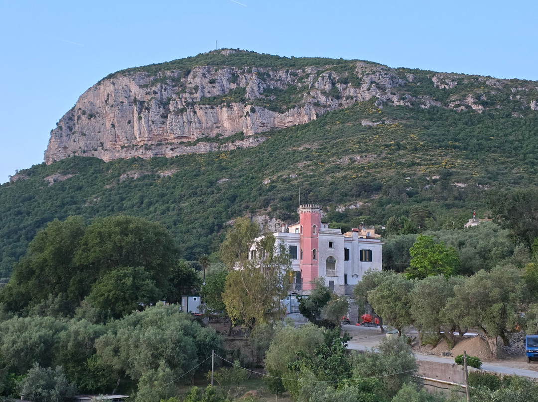 Hotel Royal Hills主图