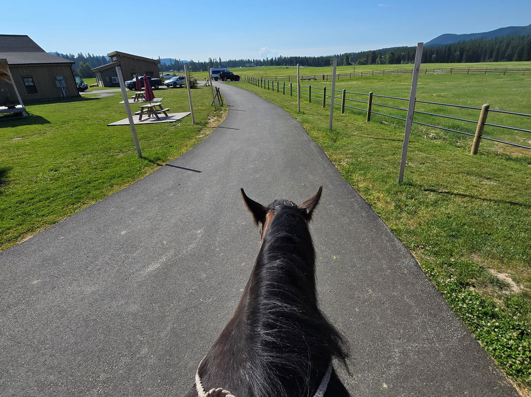 Clydesdale Outpost主图