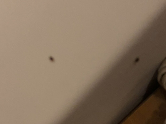 艾尼门茨格里酒店主图