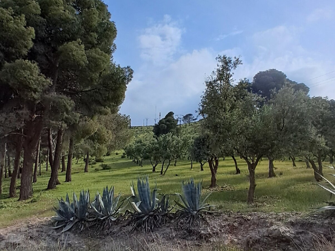 Sefrou Tour Guide-Sefrou必去景点