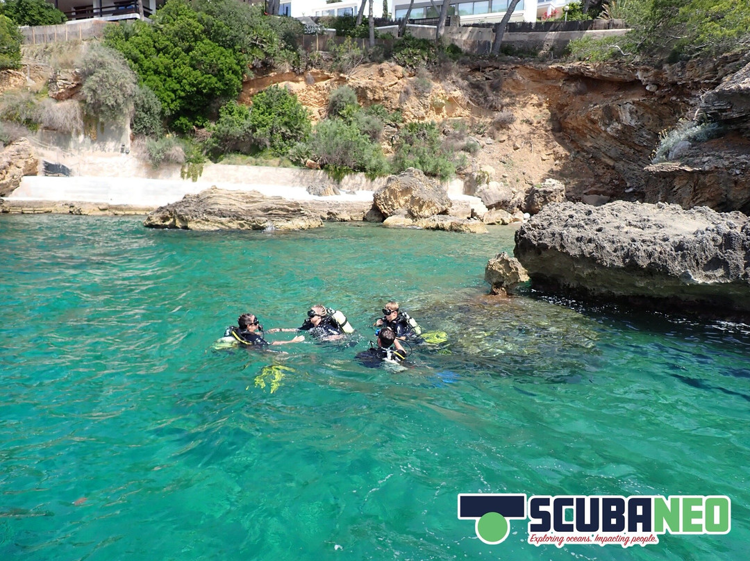 Scubaneo-阿库迪亚必去景点