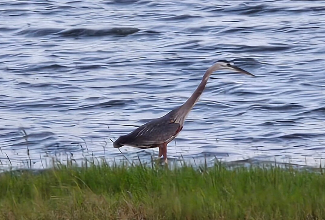 Rocky Creek Park-Burton必去景点