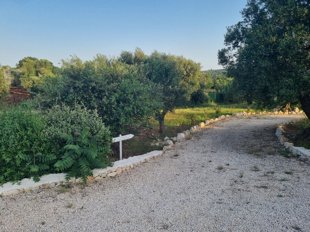 Petranima Wellness in Trulli主图