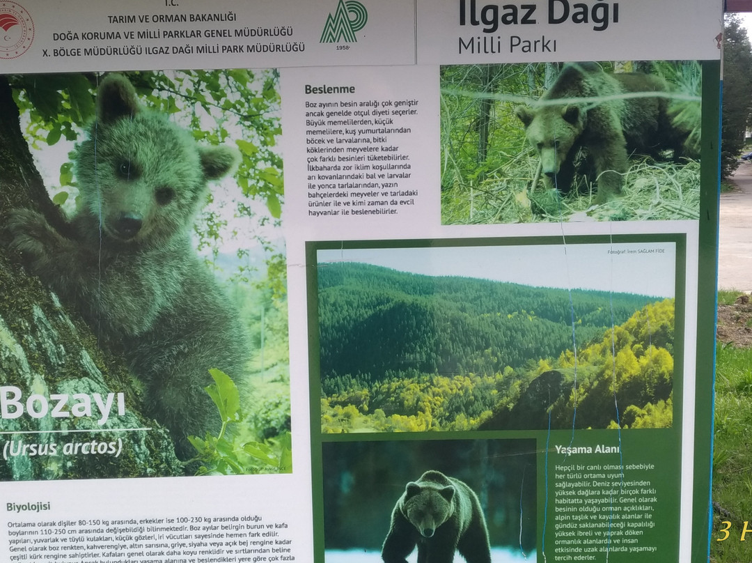 Ilgaz Mountain National Park景点图片