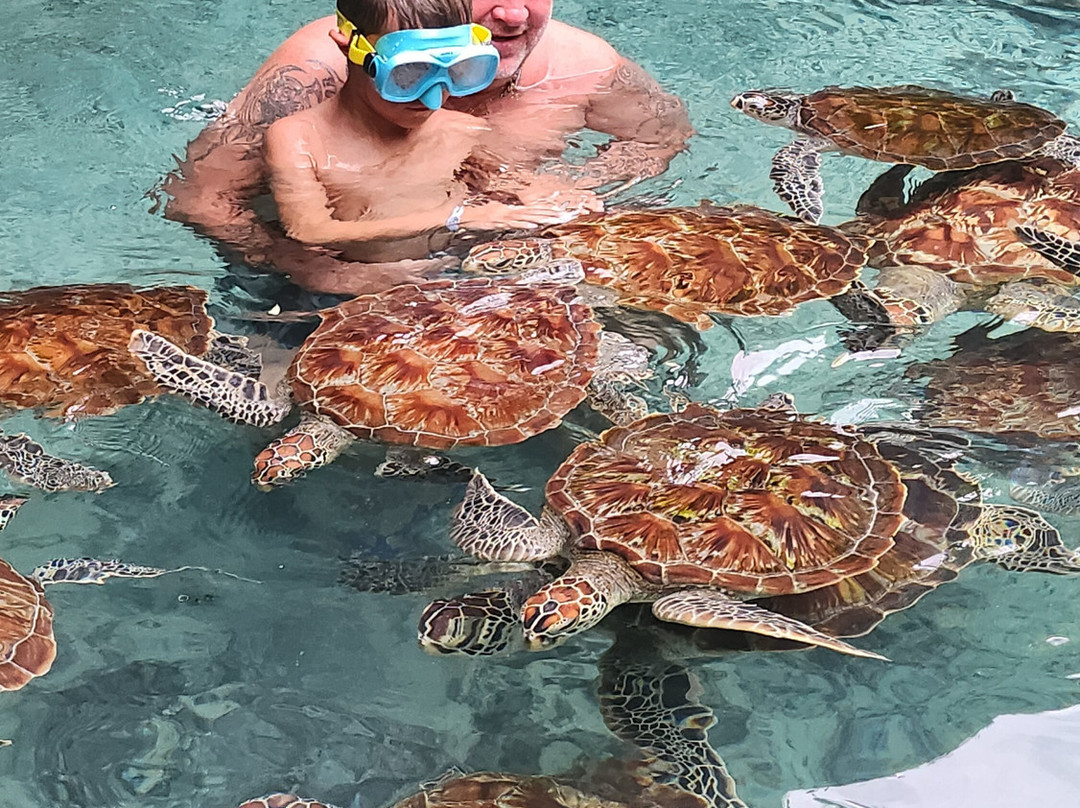 Andrea tours an safari-乌罗阿必去景点