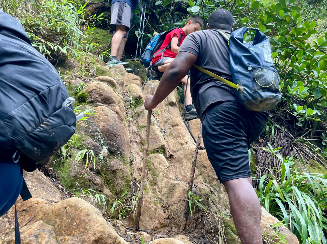 My Island Adventures with Chadi Symes-罗索必去景点