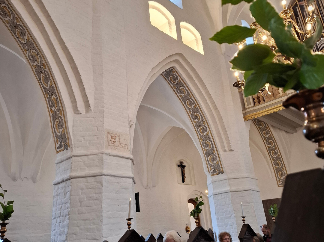 Sct. Nicolai Church-米泽尔法特必去景点