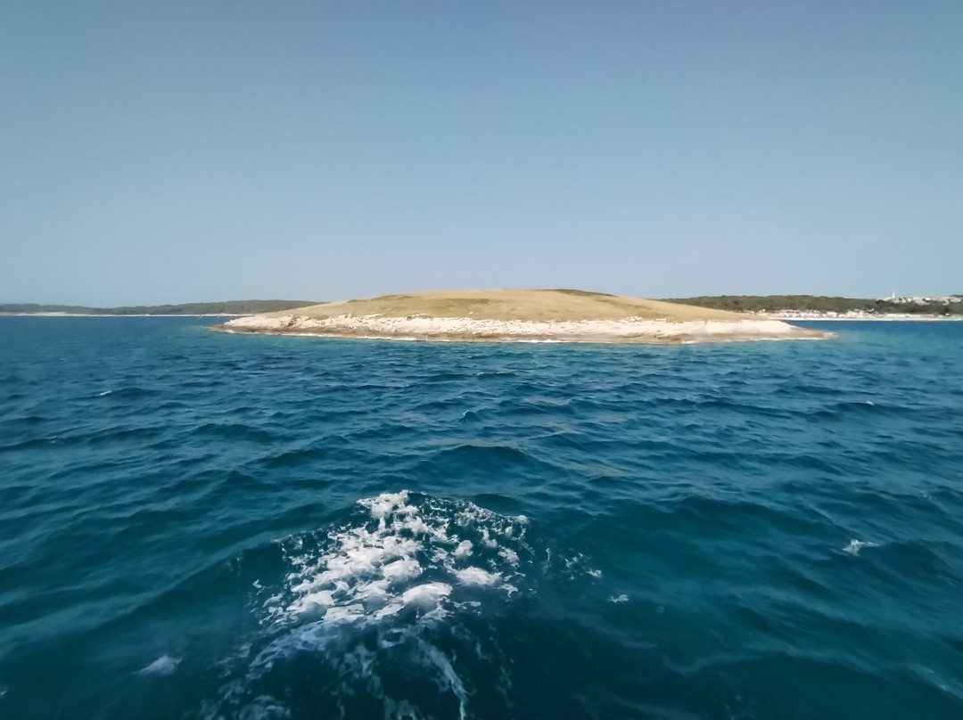 Tajana & Zlatni Rat Excursions-梅杜林必去景点