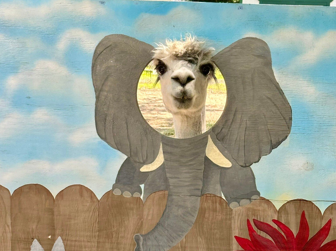 Jersey Shore Alpacas景点图片