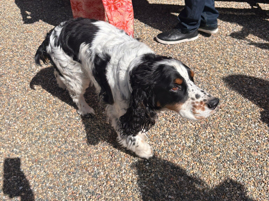 Merriam Vineyards Winery-希尔兹堡必去景点