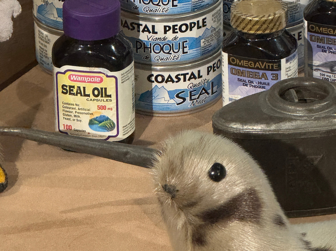 Ryan Premises National Historic Site-Bonavista必去景点