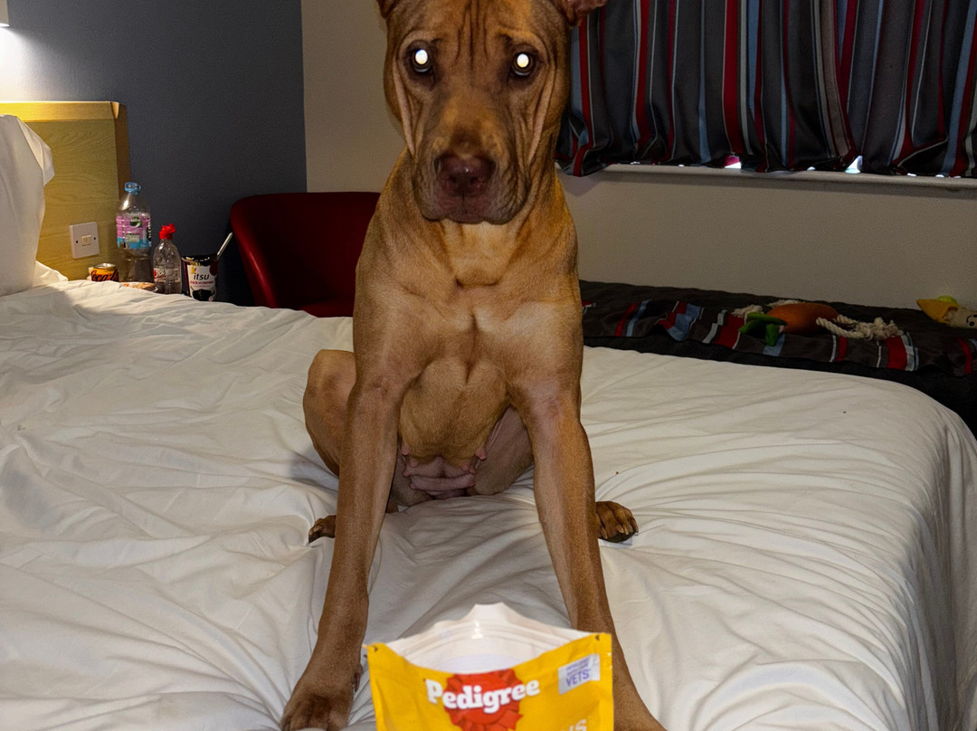 Travelodge Sleaford主图