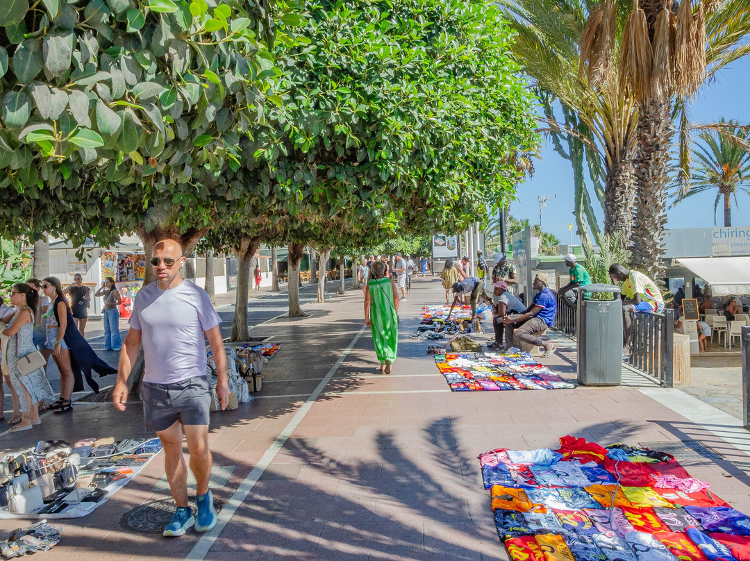 Paseo Maritimo-马贝拉必去景点