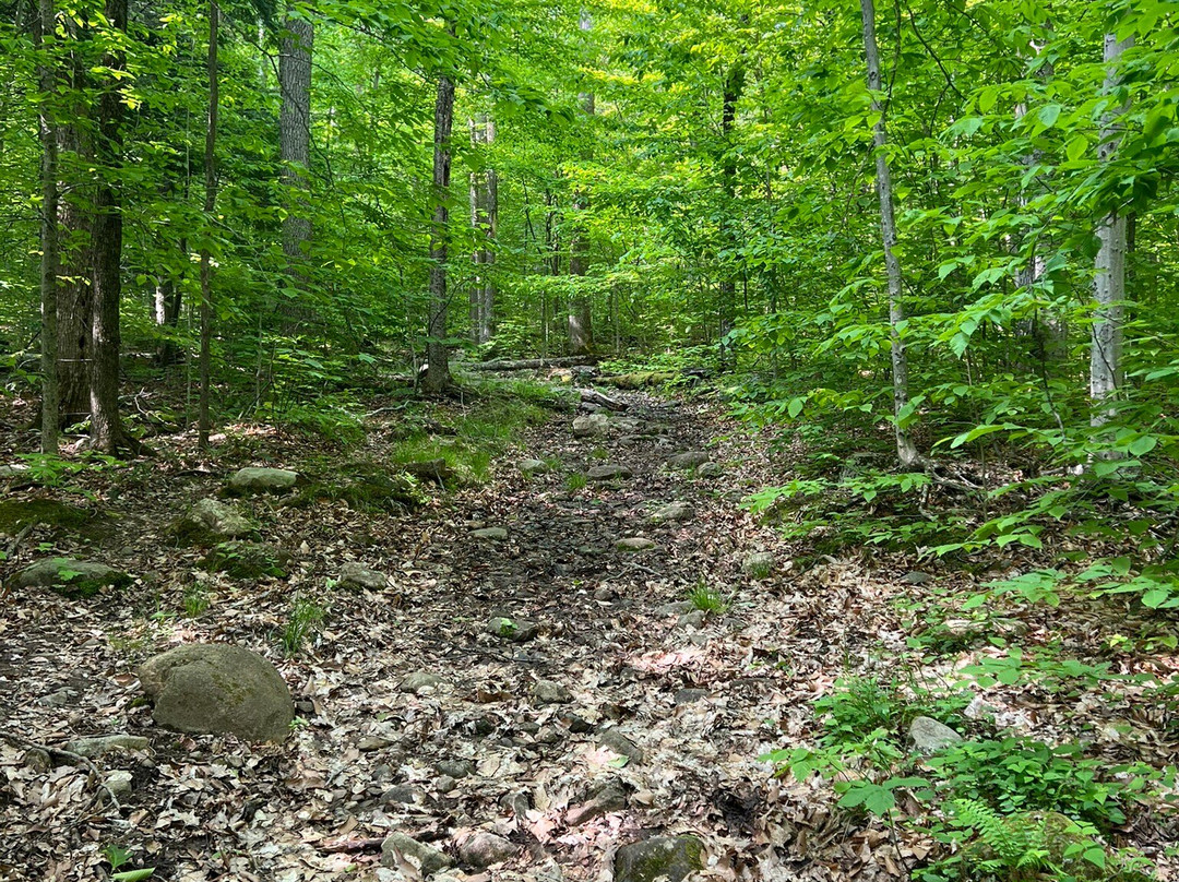 Tongue Mountain Range Trails-Bolton Landing必去景点