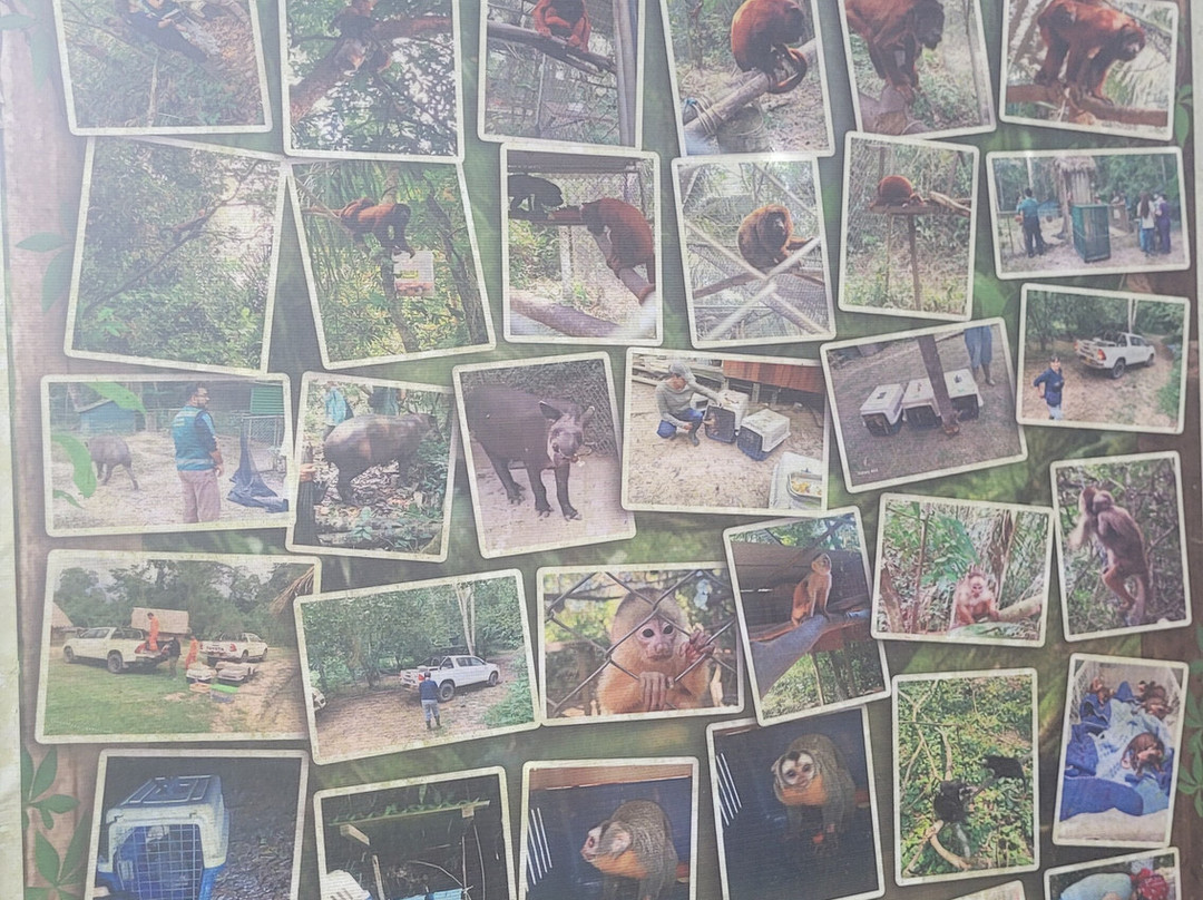 Amazon Shelter-马尔多纳多港必去景点