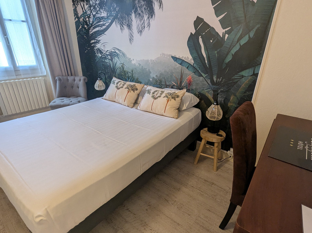 Logis Hôtel Lafayette主图