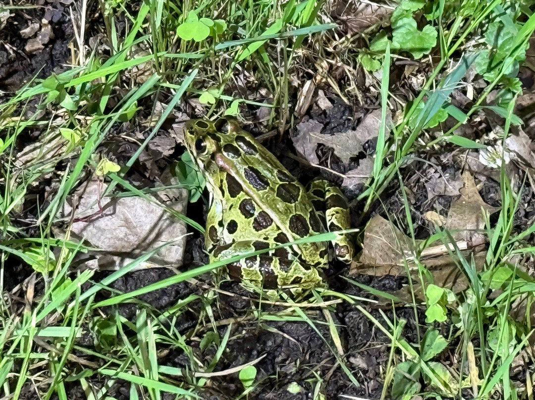 Algonac State Park-Marine City必去景点