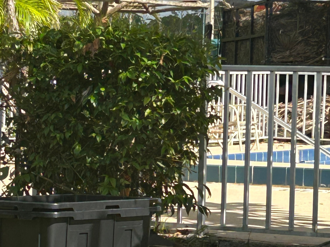 Warm Mineral Springs Motel主图