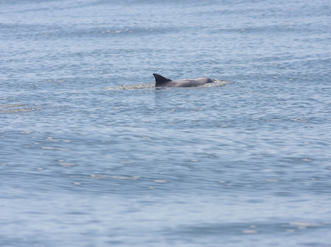 Ecosul Turismo-Ilheus必去景点