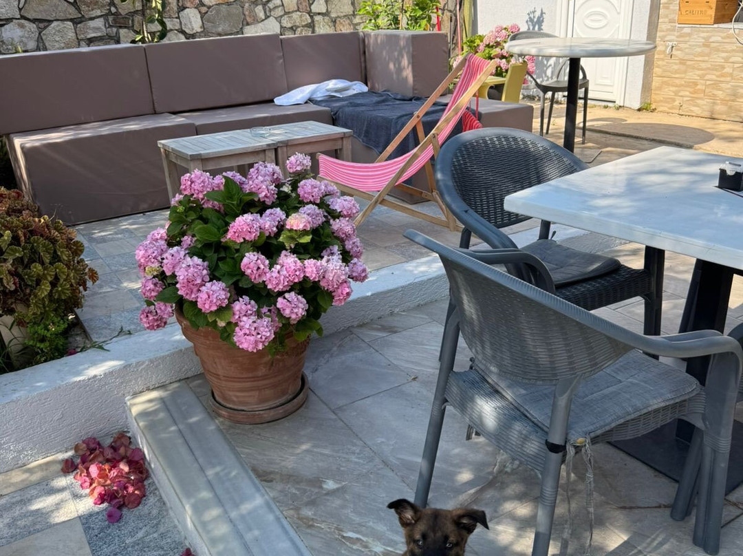 Augustus Hotel Dhermi主图