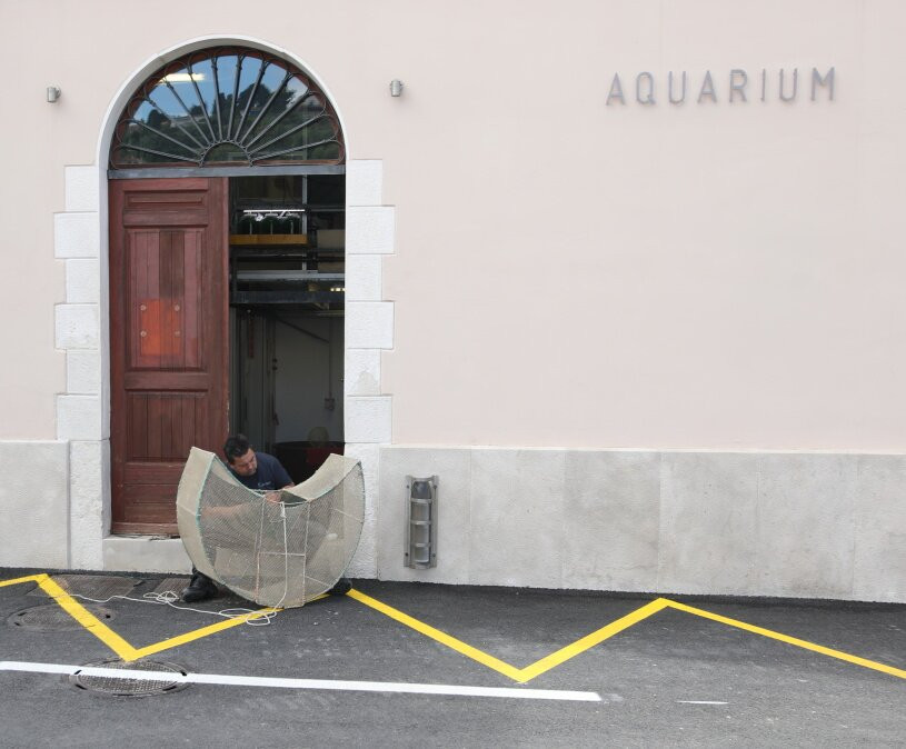 Aquarium Piran-皮兰必去景点