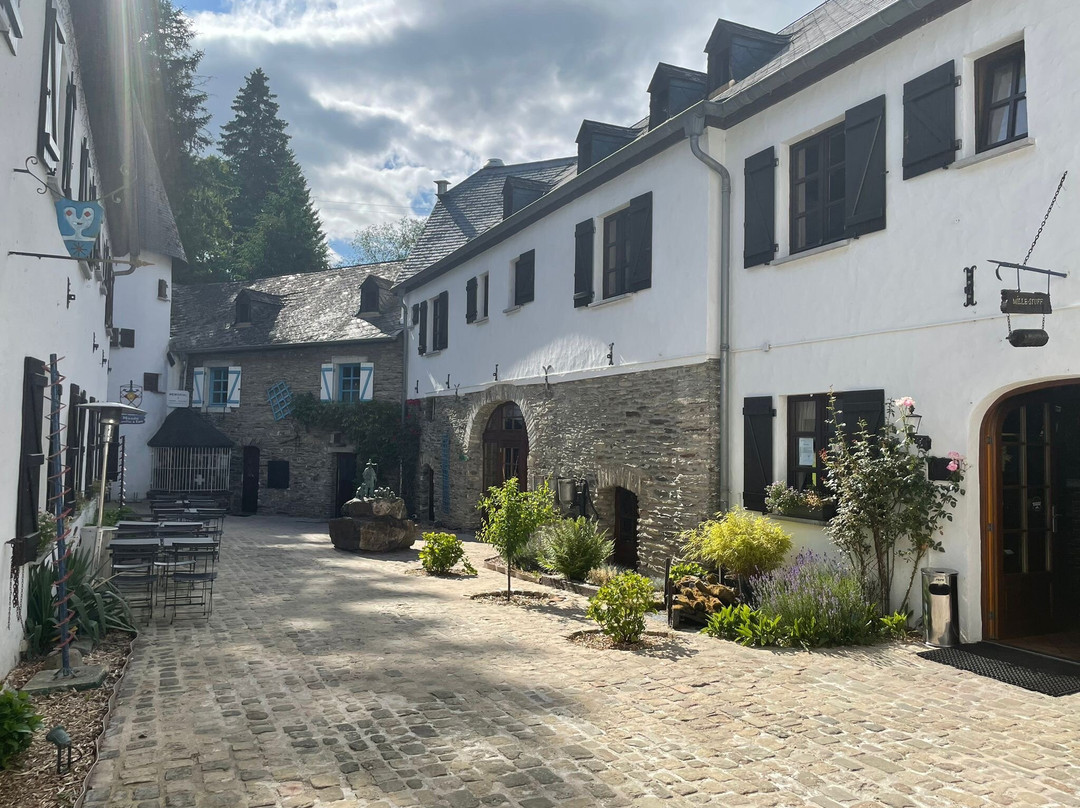 Domaine du Moulin d'Asselborn主图