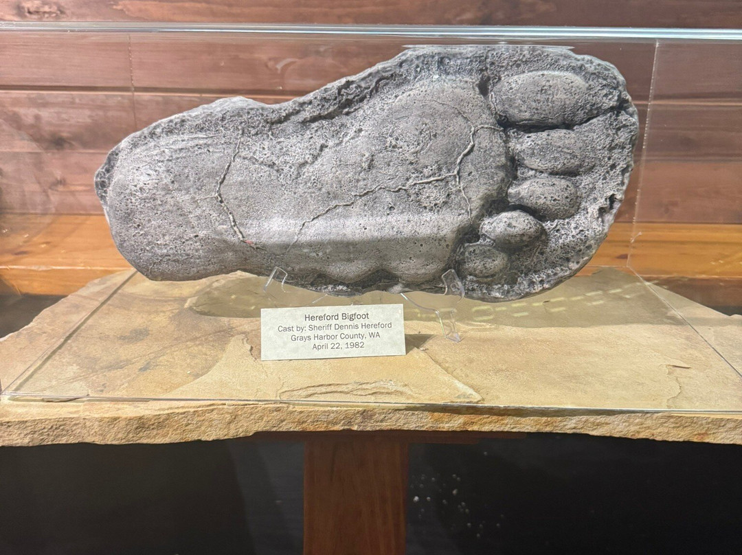 Expedition Bigfoot Adventure Outpost-蓝岭必去景点