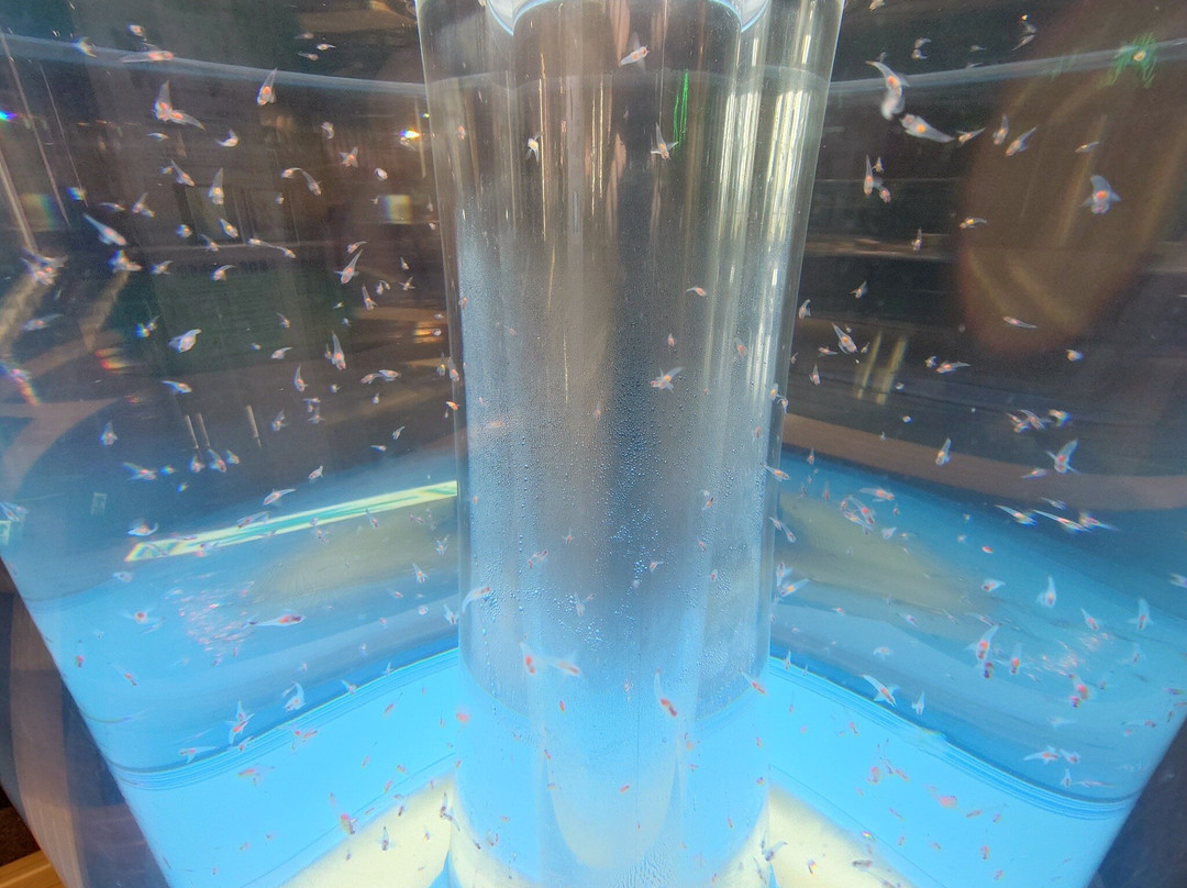 Okhotsk Sea Ice Museum of Hokkaido GIZA-纹别市必去景点