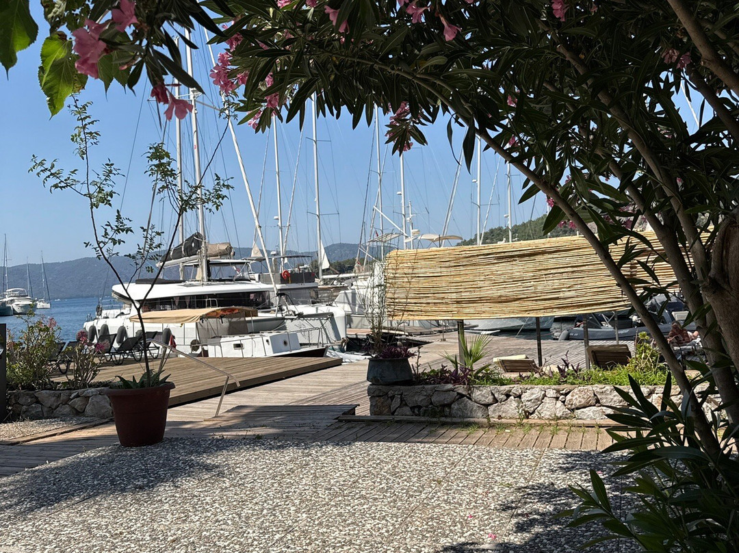 Ella Yacht Club主图