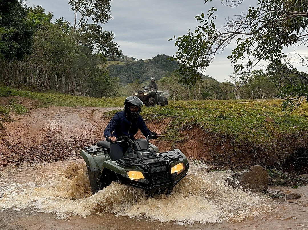 Graxaim do Mato-Praia Grande必去景点