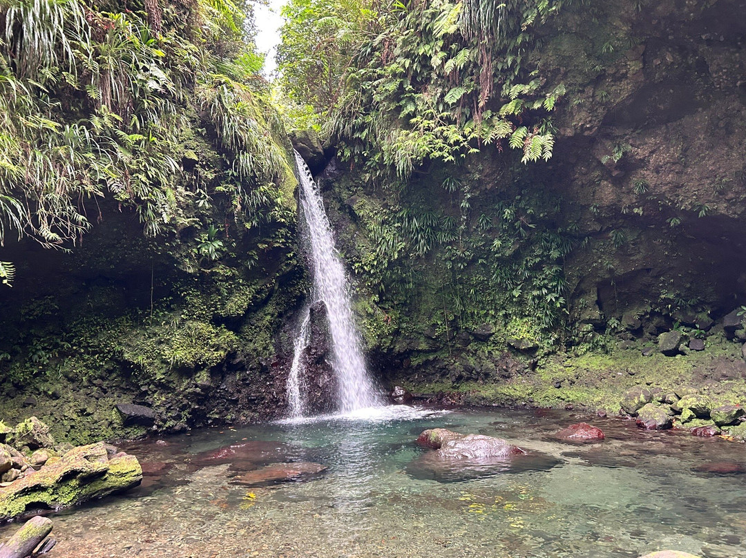 Jacko Falls-Morne Trois Pitons National Park必去景点