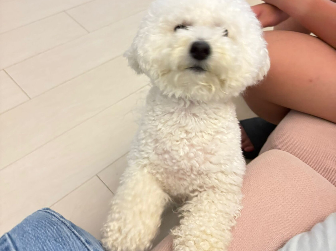 The Bark - An Art Hotel主图