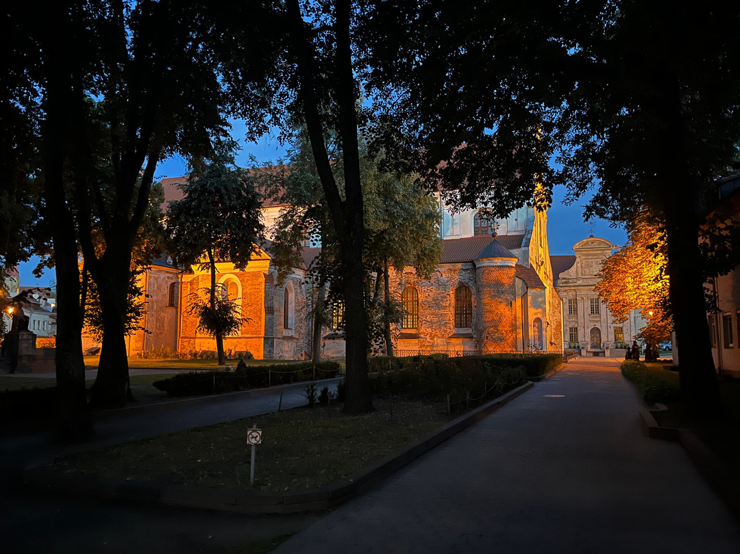 Gediminas Avenue-维尔纽斯必去景点