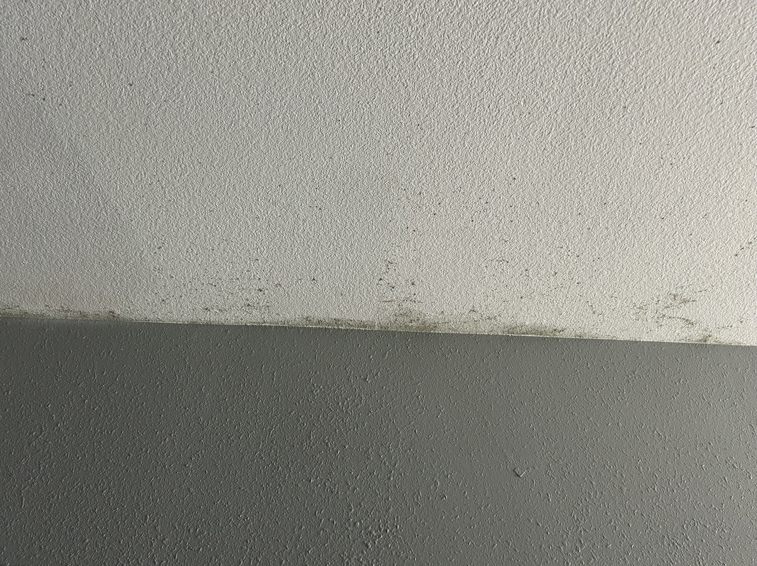 Best Western Executive Inn主图