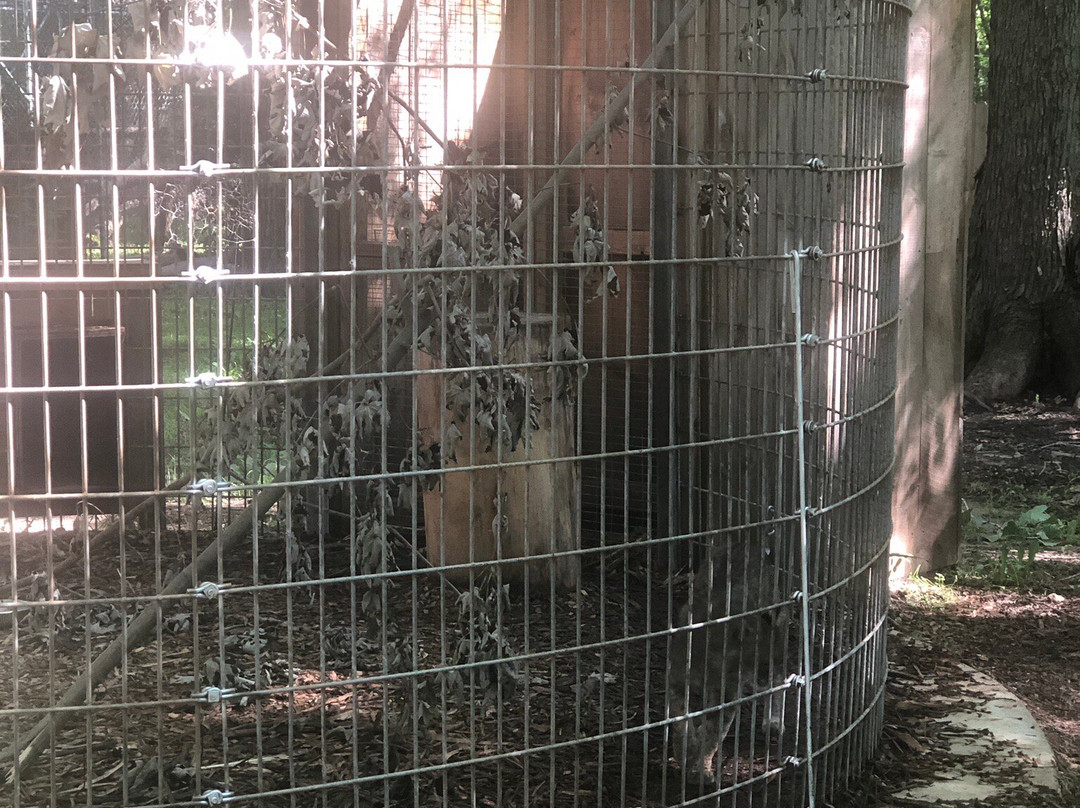 Wilderness Trails Zoo-伯奇伦必去景点