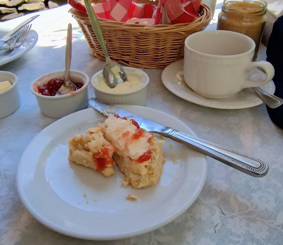 Docton Mill Gardens & Tea Rooms-Hartland必去景点