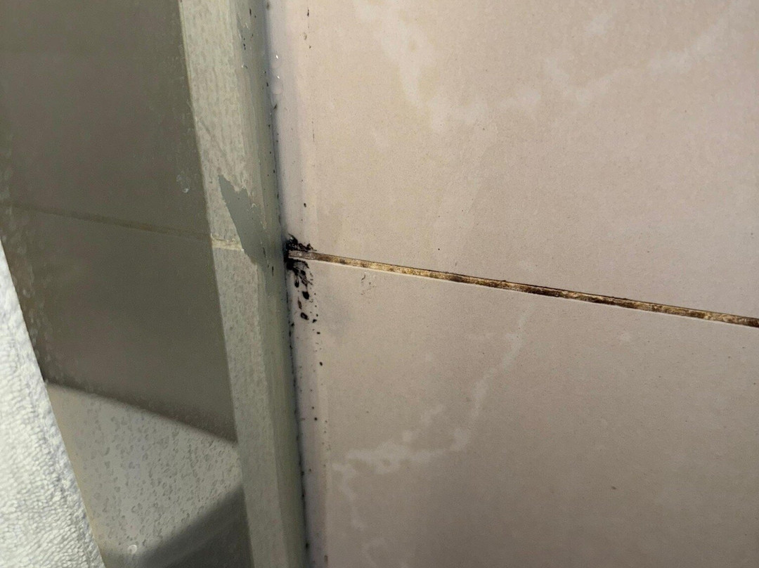 LIDOTEL Paraguaná主图