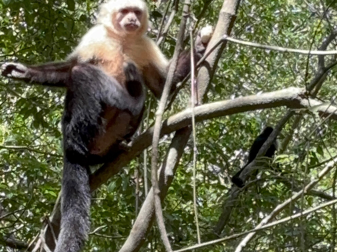 Costa Rica Wet and Wild-波特雷罗必去景点