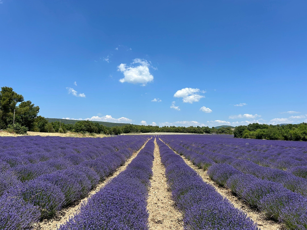 La Falaise de la Madeleine-Lioux必去景点