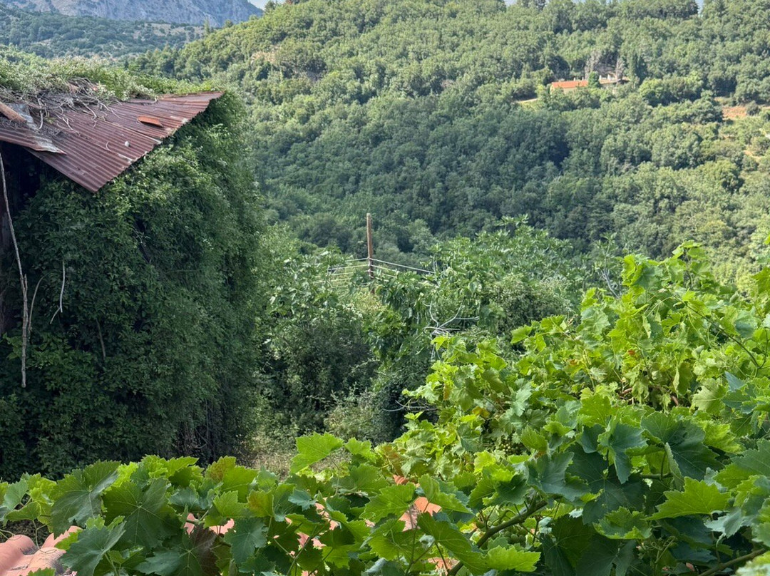 Guesthouse Archontiko主图