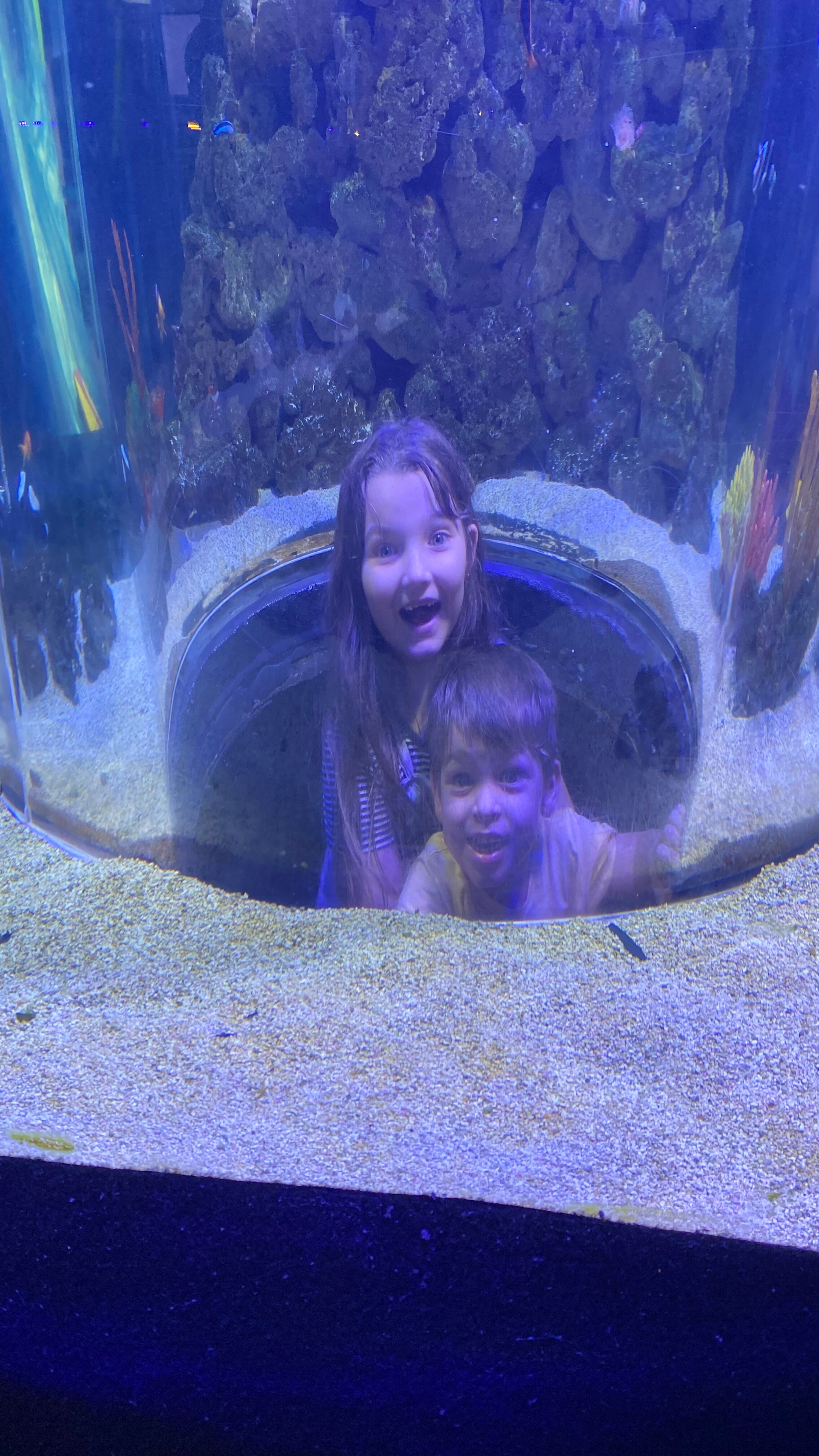 Oceanic Aquarium用户实拍