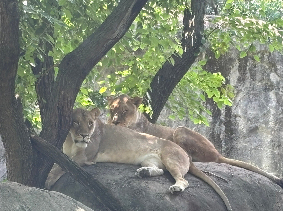 Indianapolis Zoo-印第安纳波利斯必去景点