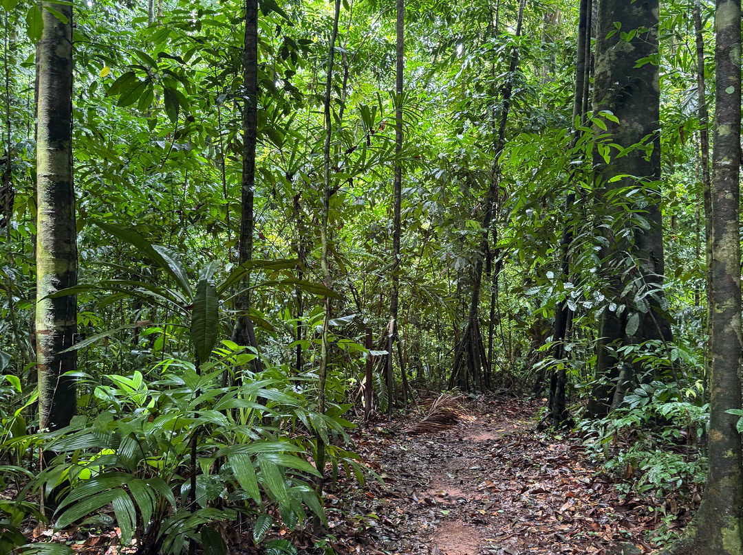 Osa Conservation Campus-希门尼斯港必去景点