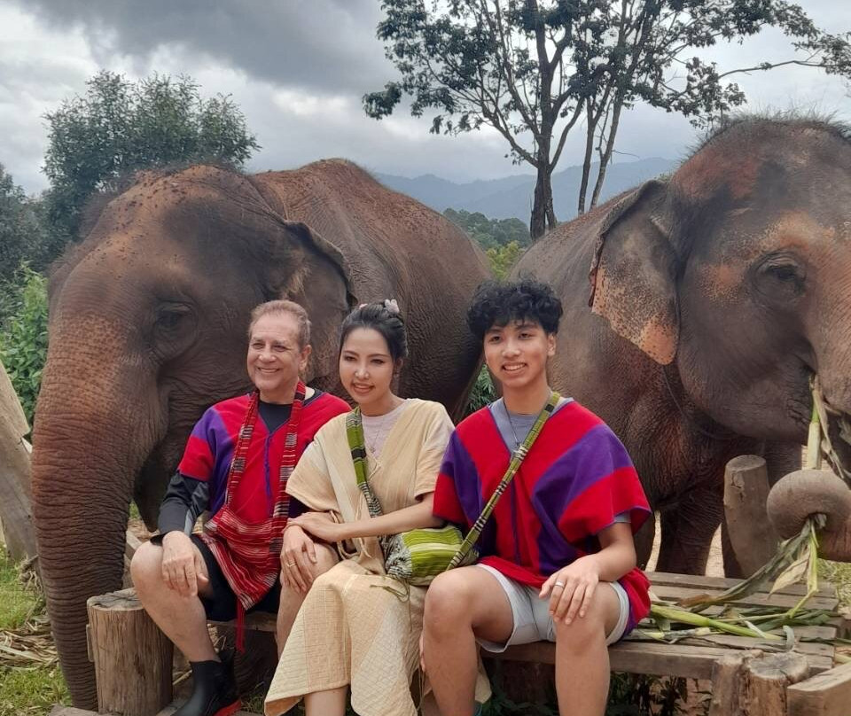 Elephant Freedom Village-清迈必去景点