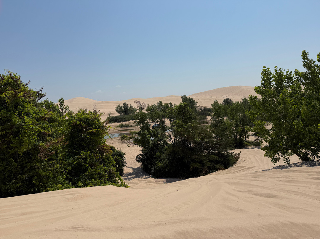 Silver Lake Buggy Rentals-Mears必去景点
