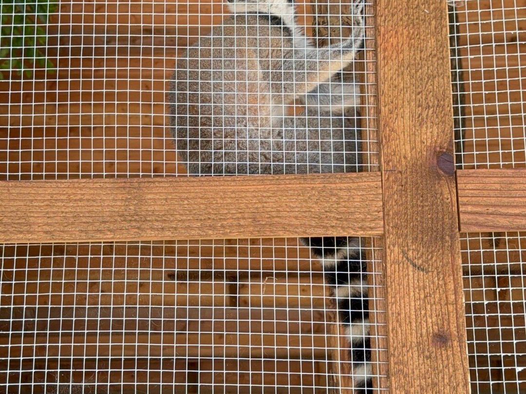 Oak Meadow Ranch-Valley View必去景点