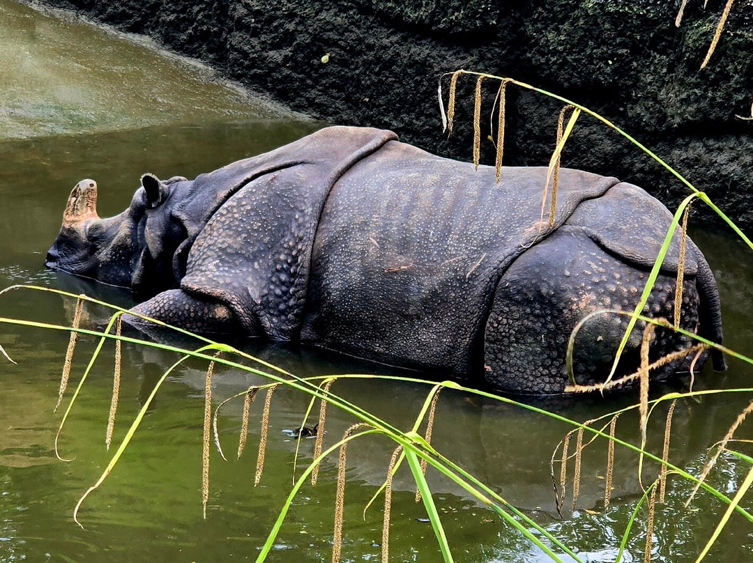 Zoo Basel-巴塞尔必去景点