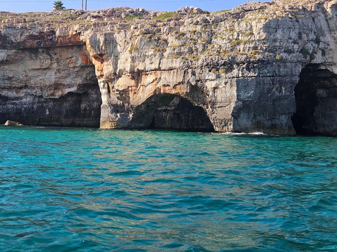 Escursioni Maretta-Torre Vado必去景点