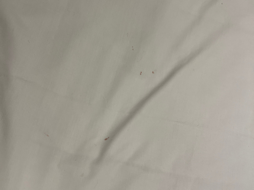 Midlands Saddle & Trout Resort主图