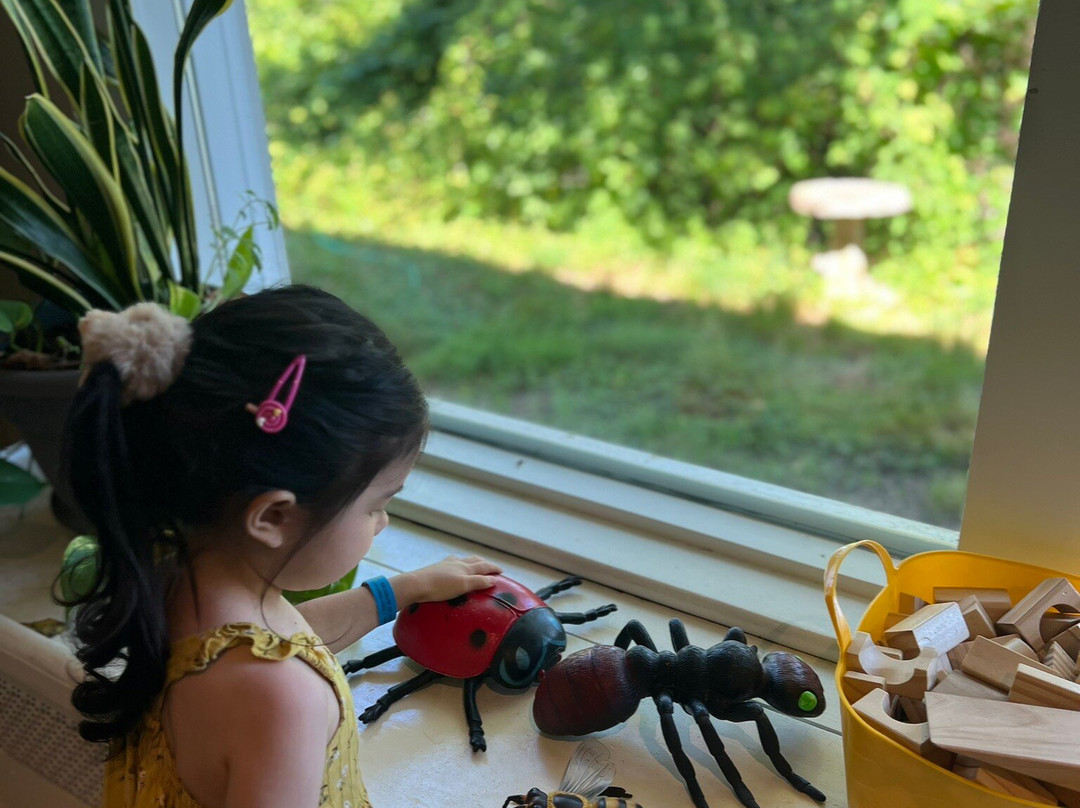 Cape Cod Museum of Natural History-Brewster必去景点